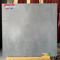 Gạch Prime 60x60 đá mờ NY66134