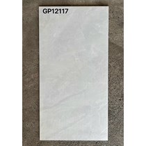 Gạch ốp lát Taicera 60x120 GP12117