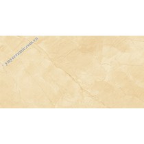 Gạch ốp lát Ý Mỹ 60x120 P6128011C