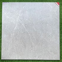 Gạch lát nền Prime 100x100 OV21012 mờ