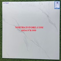 Đá bán sứ mờ Viglacera 60x60 VHP6601