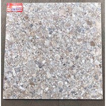 Gạch lát nền Ý Mỹ 600x600 EF69013