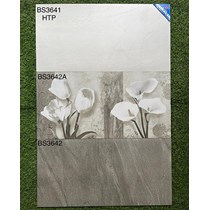 Đá bán sứ ốp tường Viglacera 300x600 BS3641-3642