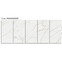 Gạch ốp lát Ý Mỹ 60x120 mờ P61245002R