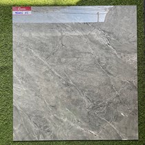 Gạch lát nền Catalan 800x800 95006