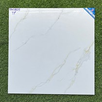 Gạch lát nền Viglacera 600x600 TB6809