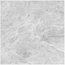 Gạch Viglacera 100x100 SH52-9GP101001