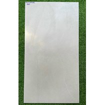 Gạch Taicera 60x120 đá mờ 2 da G12NXGR