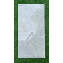 Gạch ốp lát Ấn Độ 60x120 APK1202
