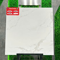Gạch lát nền Thạch Bàn 60x60 mờ PGM60-0225