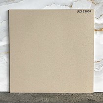 Đá lát sân vườn 50x50 LUX5300R