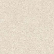 Gạch Bạch Mã 60x60 M6001
