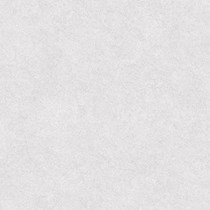 Gạch Tasa 60x60 6401