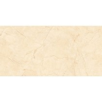 Gạch ốp lát Catalan 60x120 CTN-1208