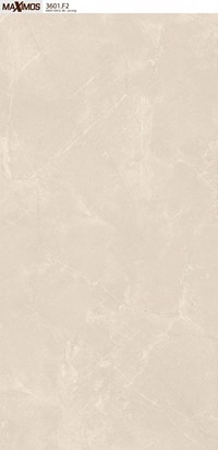 Gạch ốp lát Vitto 60x120 3601
