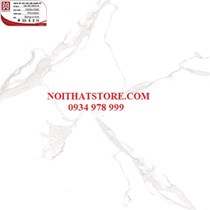 Gạch Hoàn Mỹ 100x100 vi tinh 55014