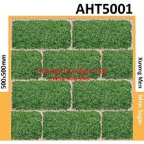 Gạch sân vườn giá rẻ 50x50 AHT5001