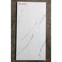Gạch ốp lát Tasa 60x120 TS1207