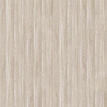 Gạch kỹ thuật số 50x50 Prime 9822