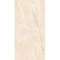Gạch Takao 60x120 32101