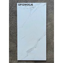 Gạch ốp lát Taicera 60x120 GP12W05J6