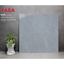 Gạch lát nền Tasa 120x120 9505