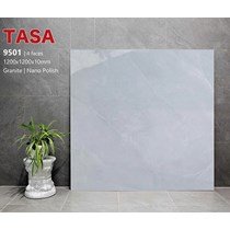 Gạch lát nền Tasa 120x120 9501