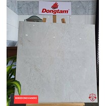 Gạch Đồng Tâm 8080DONGVAN002