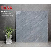 Gạch lát nền Tasa 120x120 9503