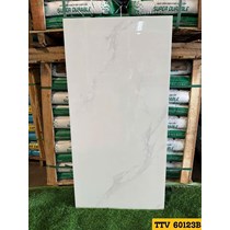 Gạch Ấn Độ 60x120 bóng TTV60123B