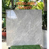 Gạch lát nền Tasa 80x80 8559