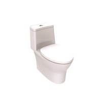 Bàn cầu American Standard 2530-WT