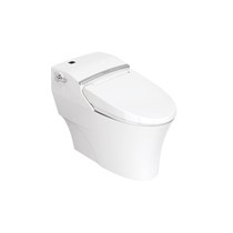 Bàn cầu American Standard WP-2012/WF-7212