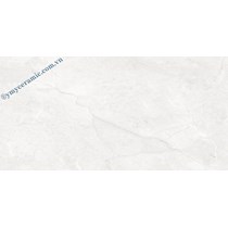 Đá ốp tường Ý Mỹ 30x60 P365012C