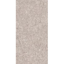 Gạch Bạch Mã 30x60 H36018