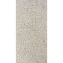 Gạch Bạch Mã 30x60 H36020