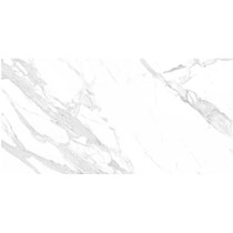 Gạch ốp lát Catalan 60x120 CTN-1201