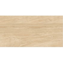Gạch ốp lát Catalan 60x120 CTN-1203