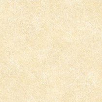 Gạch Đồng Tâm 6060BINHTHUAN002