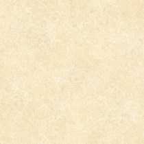 Gạch Đồng Tâm 6060BINHTHUAN003