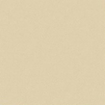 Gạch Đồng Tâm 6060VICTORIAC004