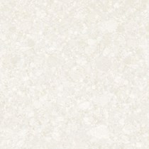 Gạch Đồng Tâm DTD6060TRUONGSON004-FP