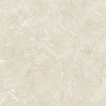 Gạch Đồng Tâm DTD6060TRUONGSON005-FP