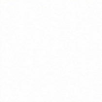 Gạch Đồng Tâm DTS6060BRIGHT001-FP