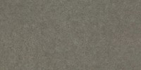 Gạch Hoàng Gia-Royal 30x60 R366004