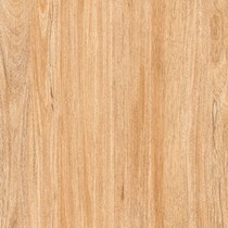 Gạch Prime 60x60 8206