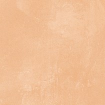 Gạch Prime 60x60 8229