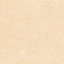 Gạch Prime 60x60 8252