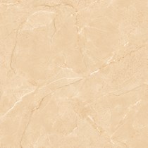 Gạch Prime 60x60 8267
