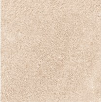 Gạch Prime 60x60 8287